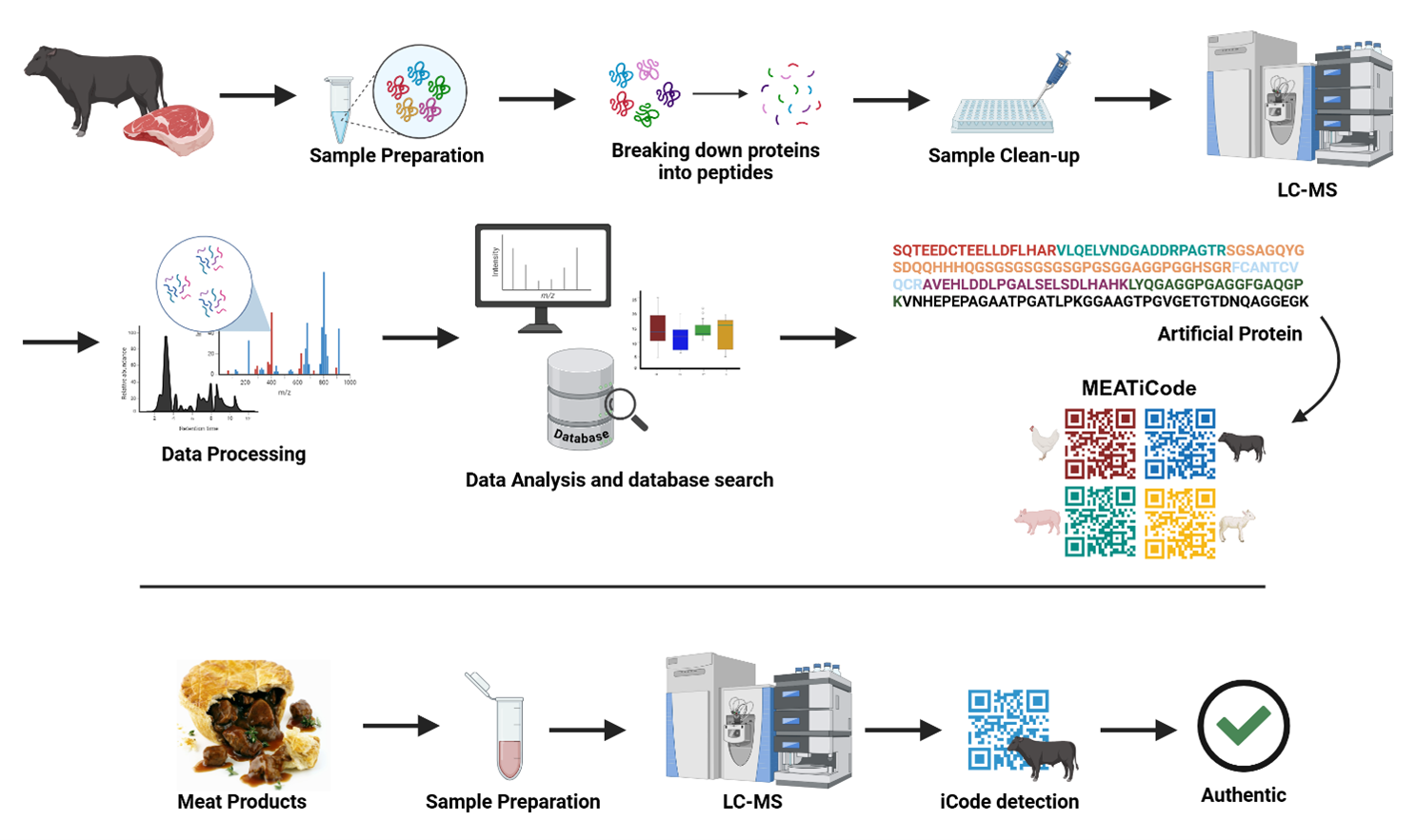 The MEATiCode workflow