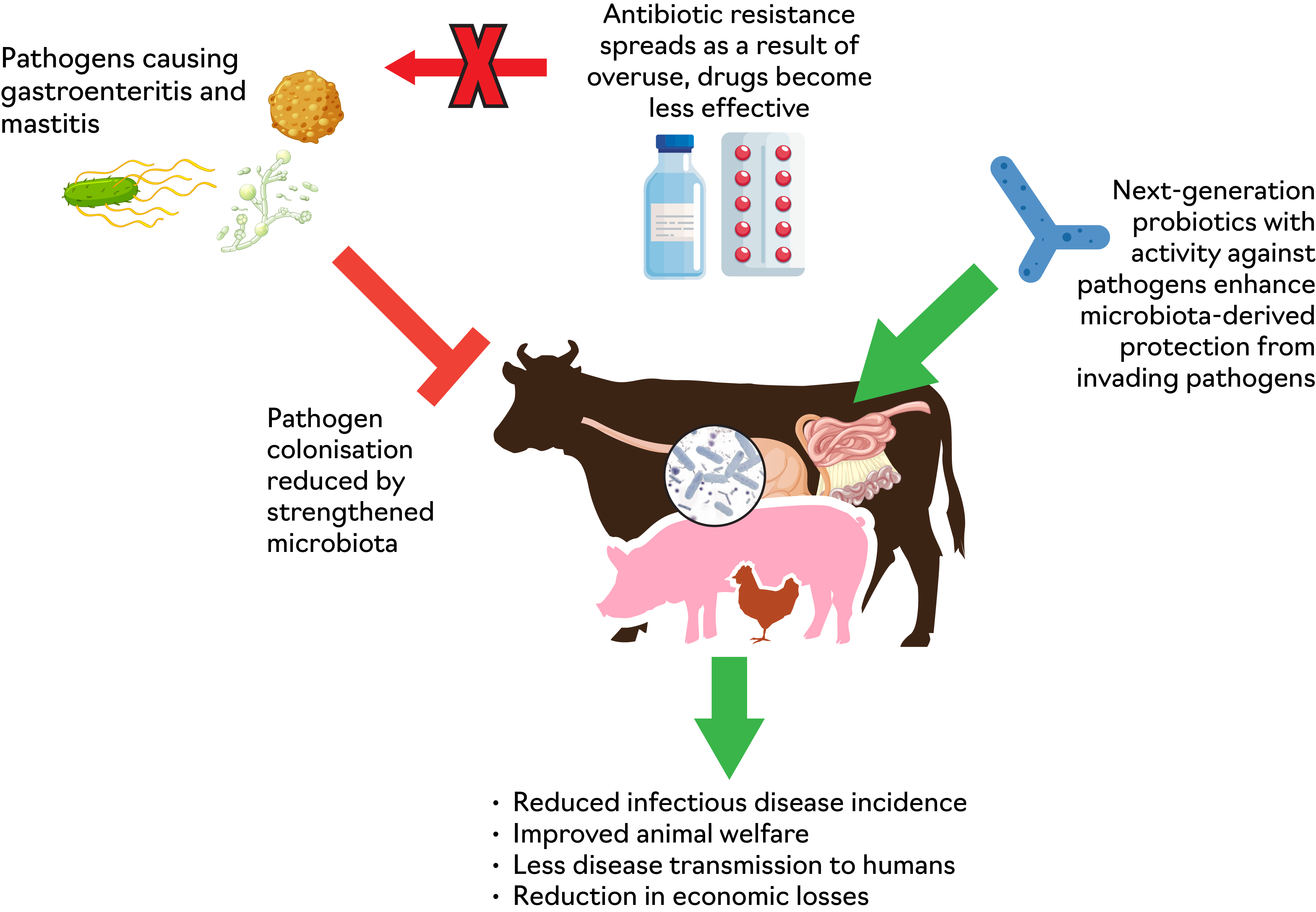 Figure 2. Schematic diagram showing the promise of novel microbiota-targeted therapies to reduce infectious disease in livestock
