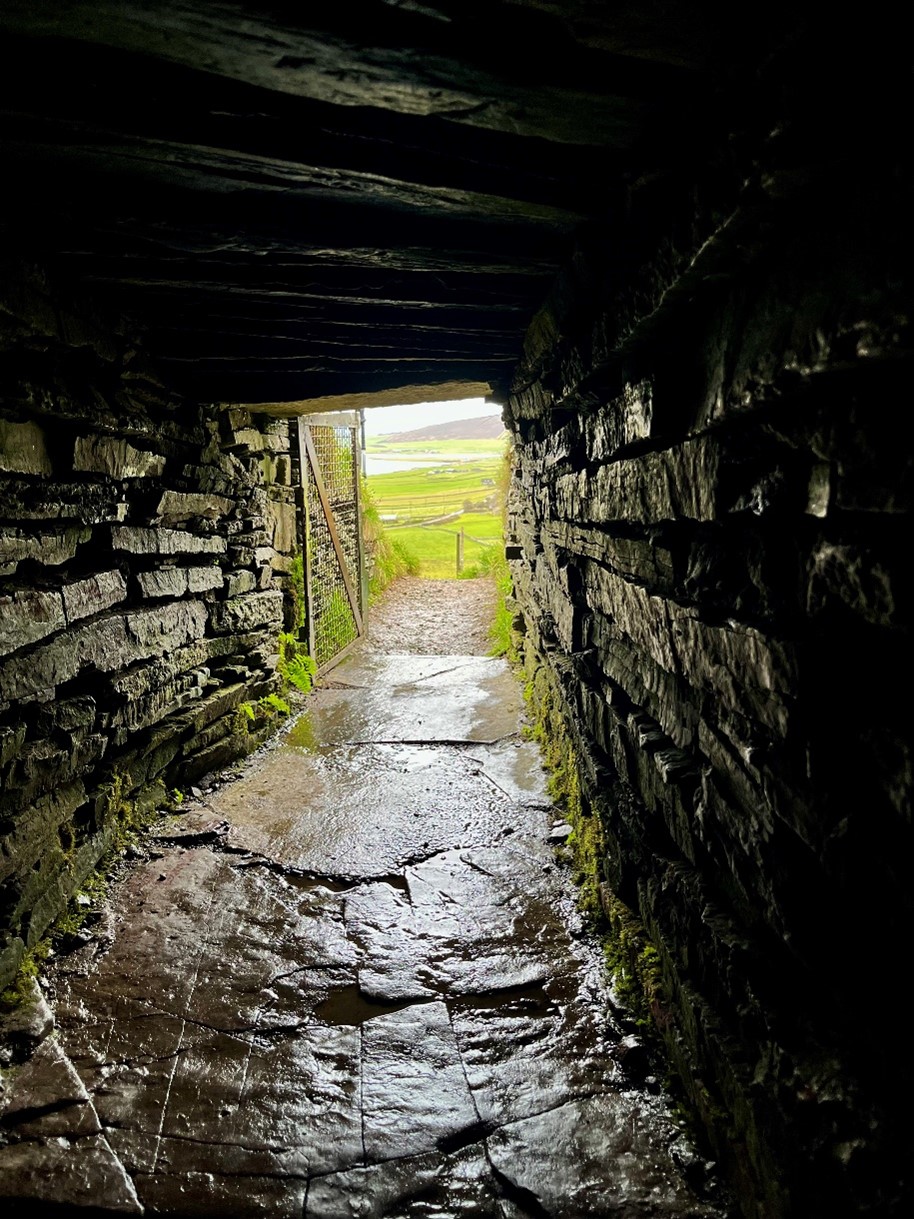 Photo credit: Lorna Dawson