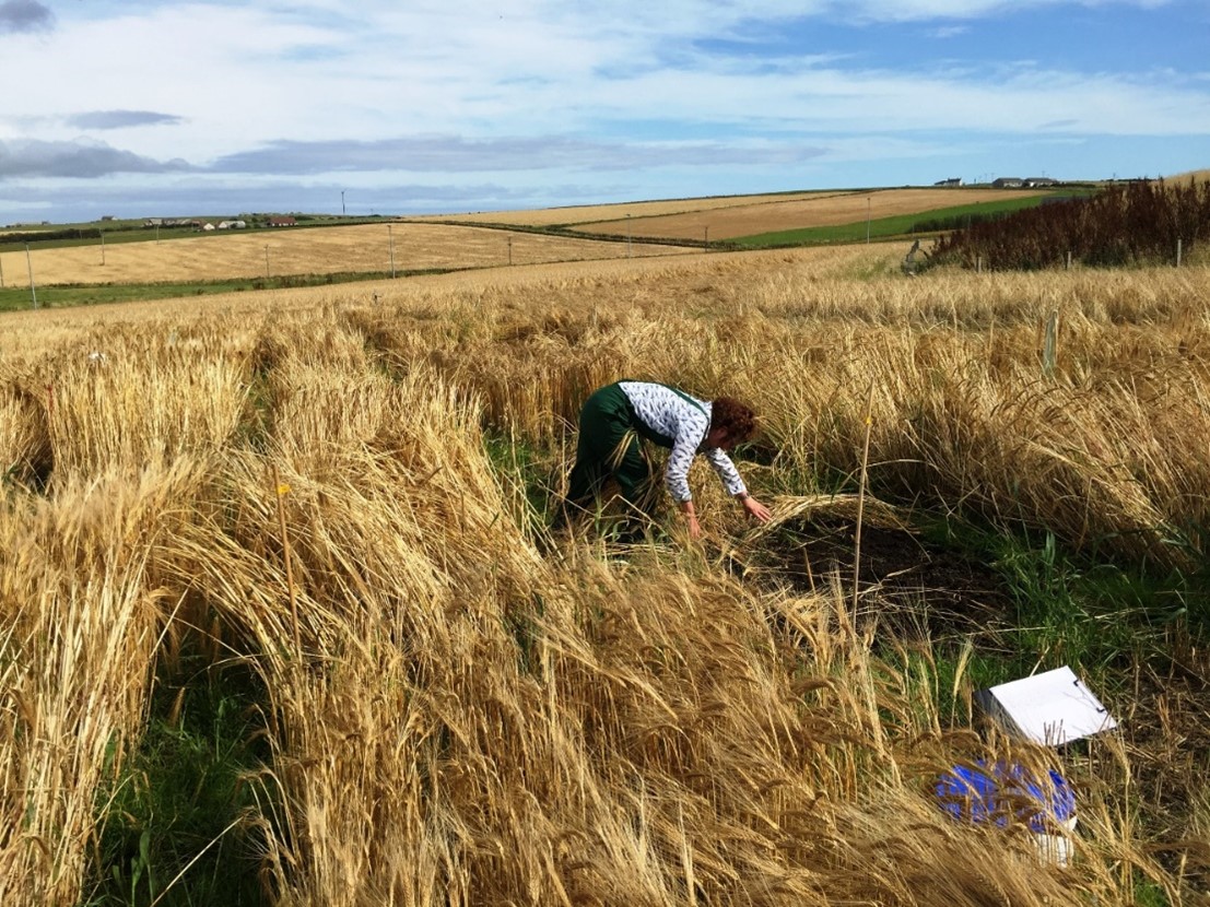 photo credit: Lorna Dawson