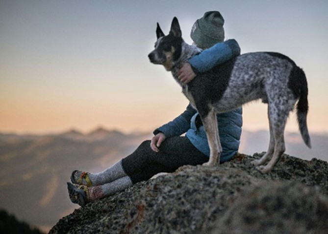 Photo credit: Bekka Mongeau (pexels.com). Image of Person Holding Black & White Dog.