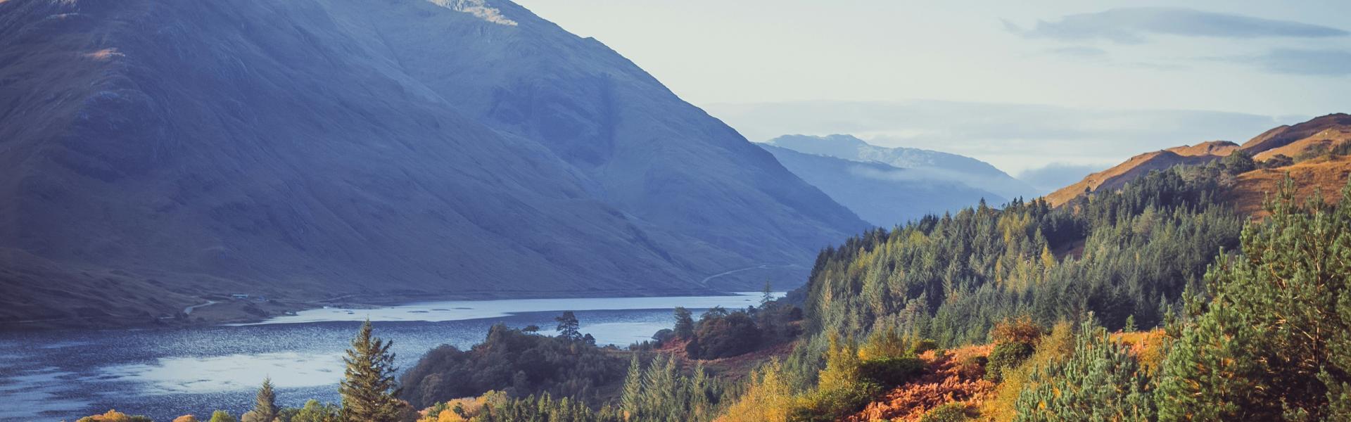 Mountains forest and loch landscape