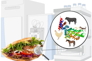 Photo Credit: this study. Graphical abstract.