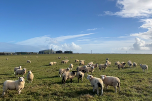 Photo credit: Lorna Dawson