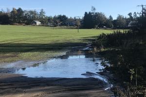 An example of an edge-of-field temporary storage area (TSA) intercepting and storing surface runoff and sediment from soil erosion at Tarland. Photo credit: Dr Martyn Roberts, The James Hutton Institute.