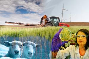 Scientist Supporting Agriculture