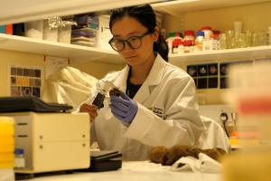 Female scientist working the labratory