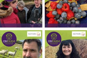 Four images of farmers and farm produce