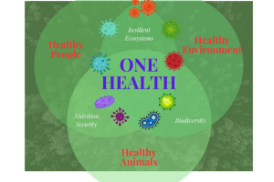 Microbial ecosystems and One Health