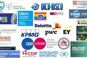 An image collage of various logos of financial organisations who have made environmental pledges