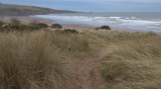 Lunan. Photo credit: Dr. Ioanna Akoumianaki