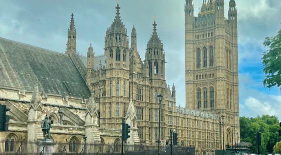 Houses of parliament - lorna dawson