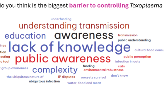 toxoplasmosis combined image