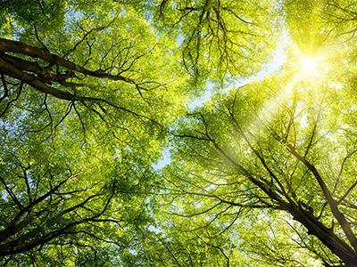 Rural Landscapes and Community Wellbeing