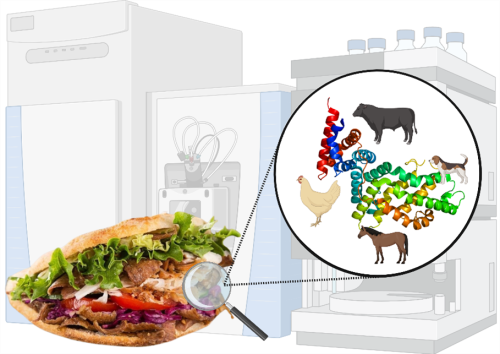 Photo Credit: this study. Graphical abstract.
