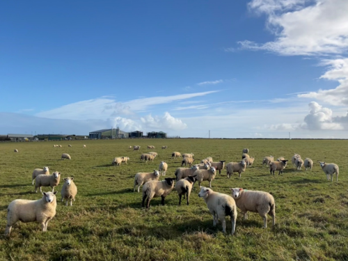 Photo credit: Lorna Dawson