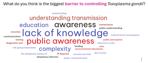 toxoplasmosis combined image