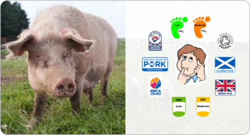A pig and an infographic of the consumer considering different pork labels