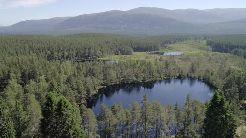Arial shot of woodland with and loch with hills in the distant background